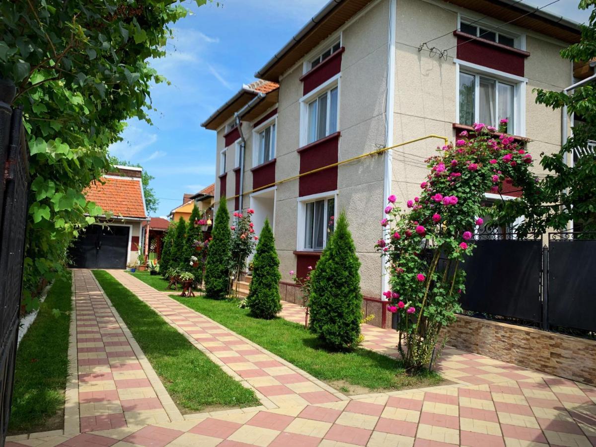 Casa Mary Hotel Hátszeg Kültér fotó