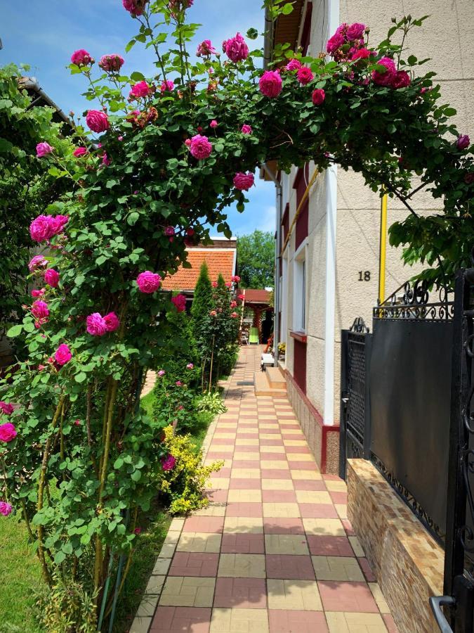 Casa Mary Hotel Hátszeg Kültér fotó